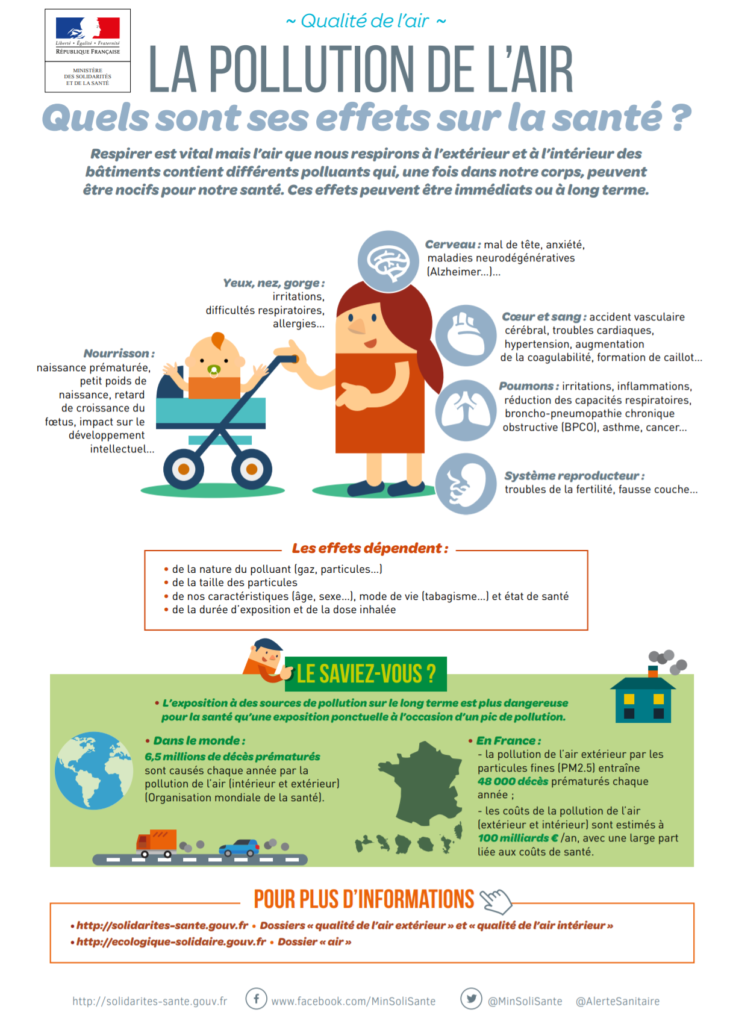 Les effets de la pollution sur notre santé (copyright : Ministère des Solidarités et de la Santé).